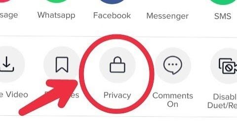 TikTok videos privados