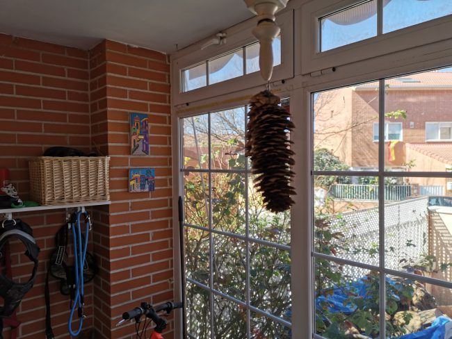 Foto a contraluz Huawei P30