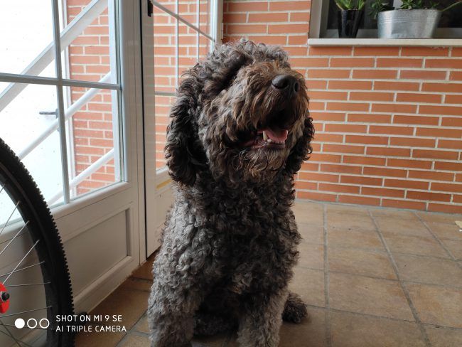 Foto retrato Xiaomi Mi 9 SE