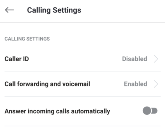 skype bug