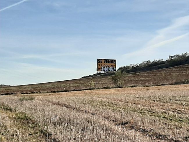 paisaje con el Samsung Galaxy A50