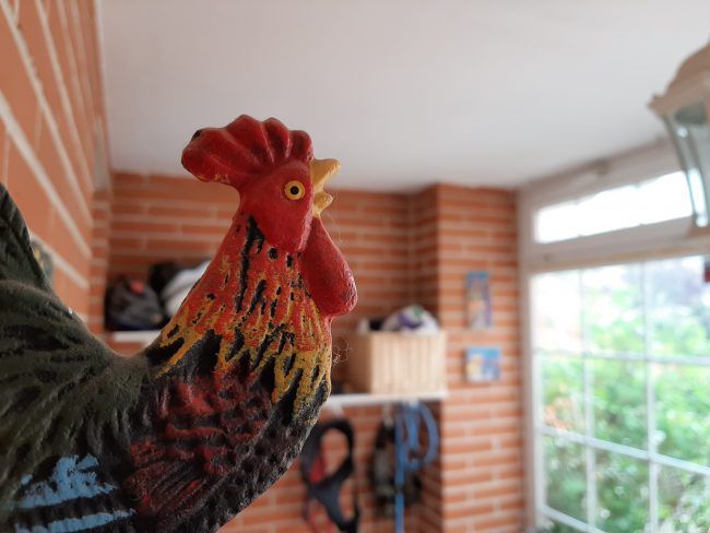 Foto maccro Samsung Galaxy A50