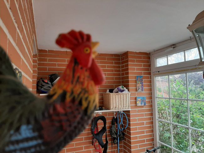 Foto a infinito con el Samsung Galaxy A50