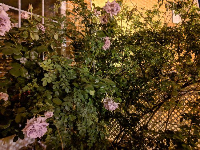 Foto HDR activo con el Google Pixel 3a XL