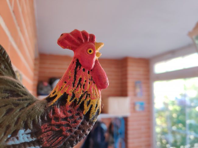 Foto macro con el OnePlus 7 Pro