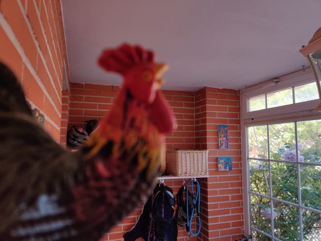 Foto a infinito con el OnePlus 7 Pro