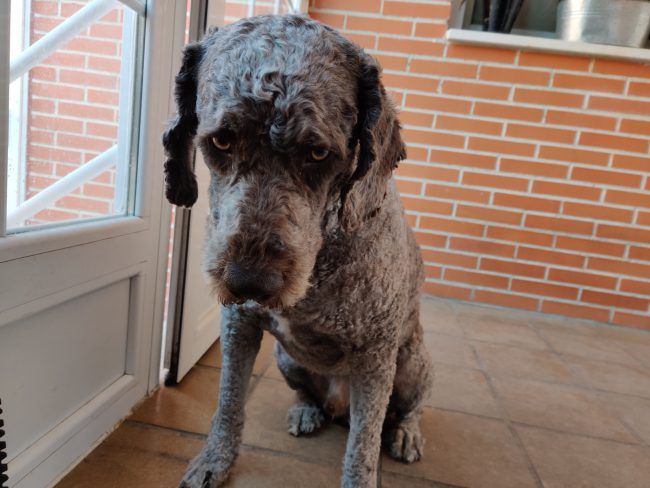 Foto retrato con el OnePlus 7 Pro