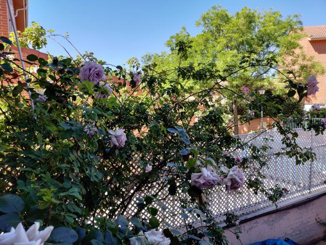 Foto exterior OnePlus 7 Pro
