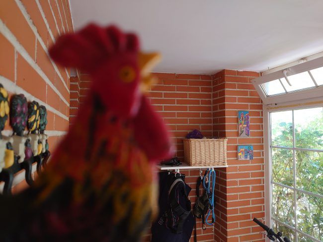 Foto a infinito Sony Xperia 1