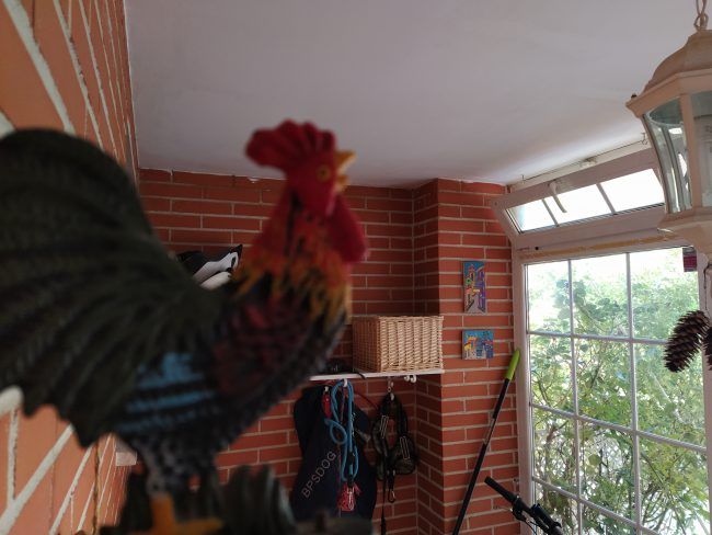Foto a infinito Xiaomi Mi A3