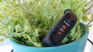 mi band 4 en maceta