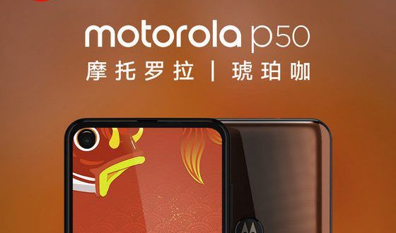 motorola p50