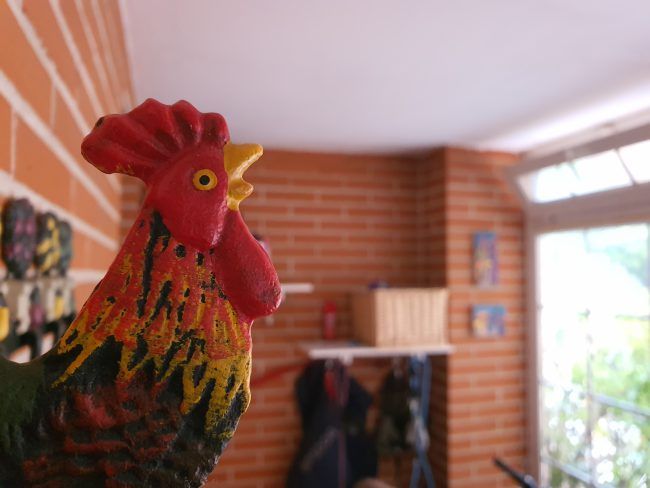 Foto macro Samsung Galaxy Note 10 Plus
