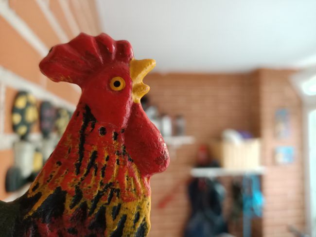 Foto macro con el Oppo Reno Z