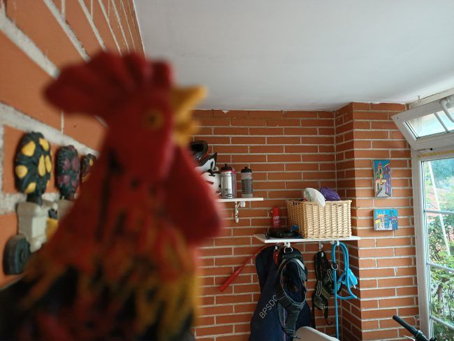 Foto a infinito con el Oppo Reno Z