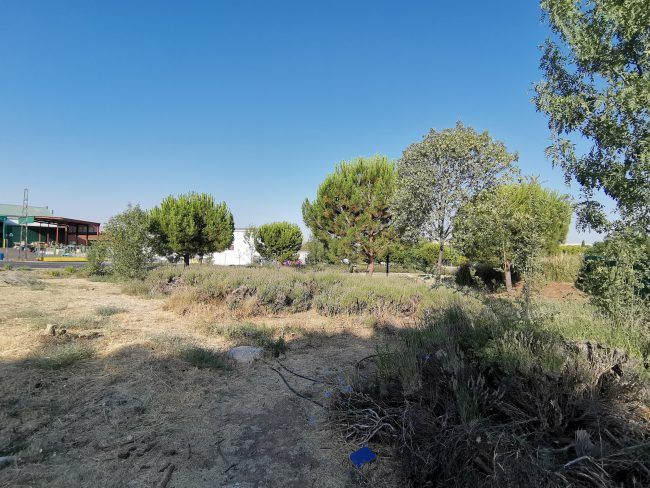 Paisaje con el Honor 20 Pro