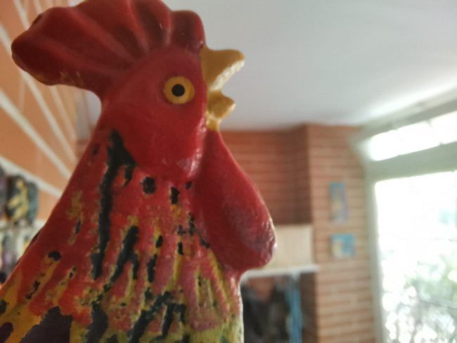 Foto macro Honor 20 Pro