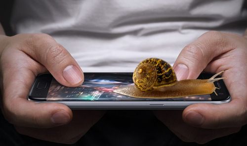 Caracol en móvil