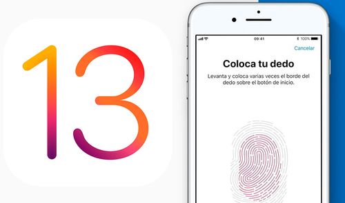 iOS 13 touch id