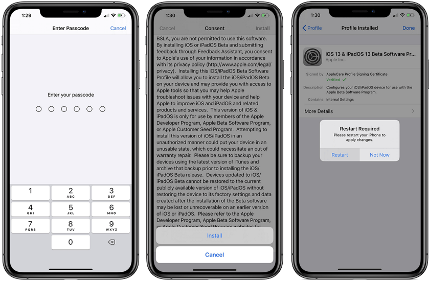 Beta iOS en beta profiles