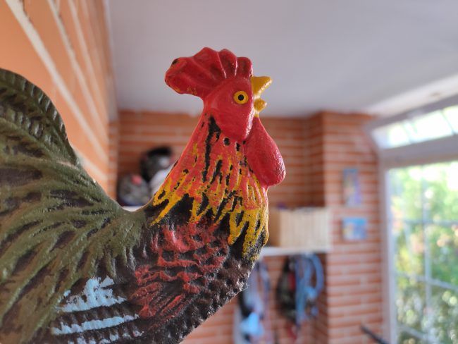 Foto macro Realme 5 Pro