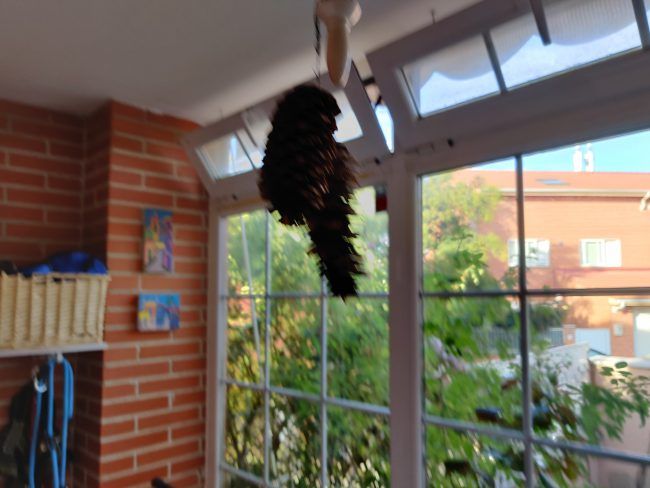 Foto a contraluz OnePlus 7T Pro