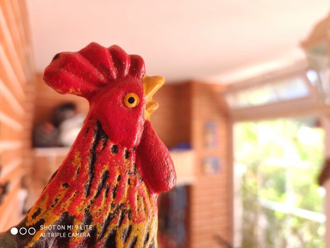 Foto macro Xiaomi Mi 9 Lite