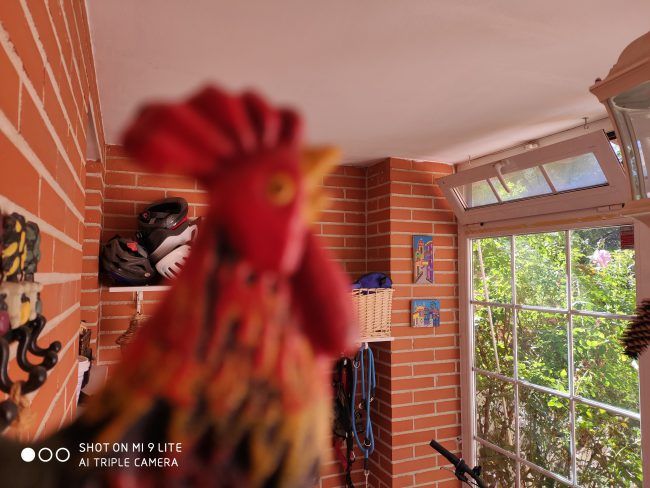 Foto a infinito Xiaomi Mi 9 Lite