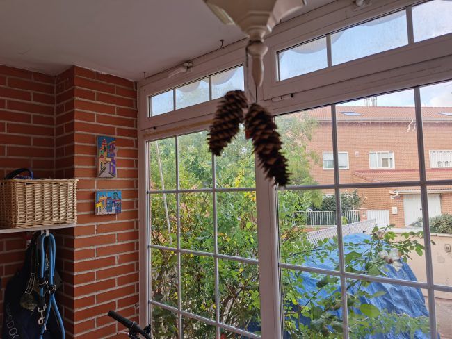 Foto a contraluz con el Huawei Mate 30 Pro