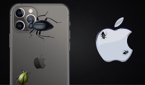 iPhone 11 Pro bugs