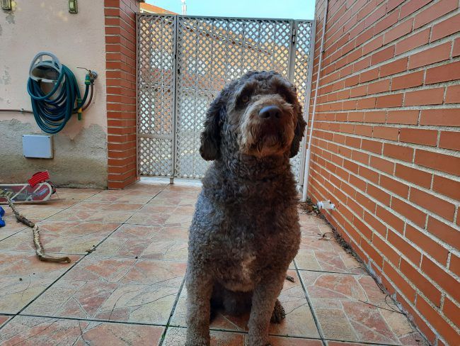 Retrato Samsung Galaxy M30s