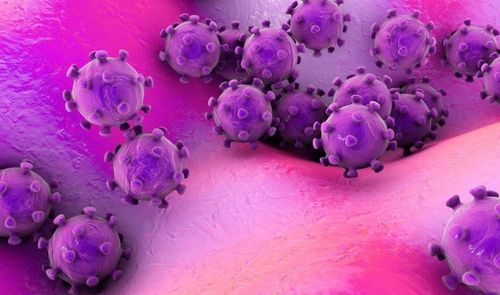 virus