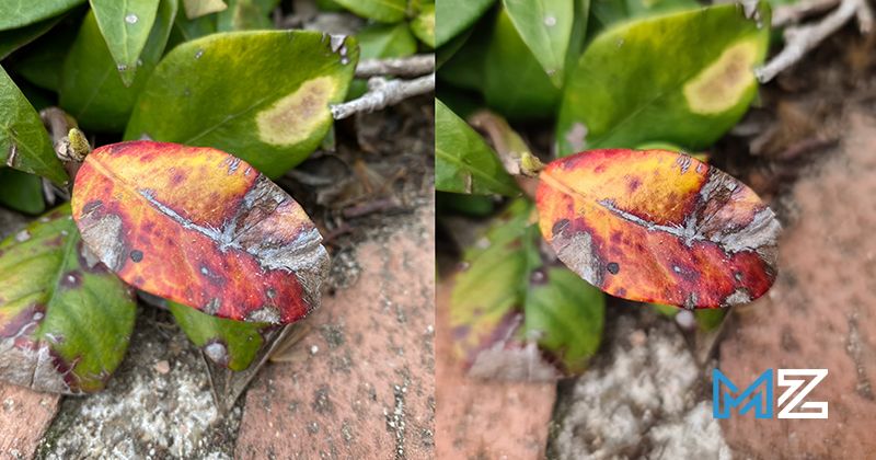 camaras iphone 11 pro vs galaxy s20 ultra - 12 modo macro