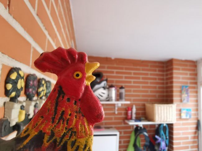 Foto amcro con el Huawei P40