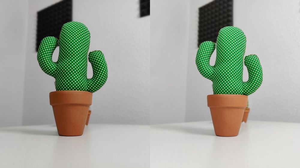 onepus 8 pro vs oppo find x2 desenfoque cactus