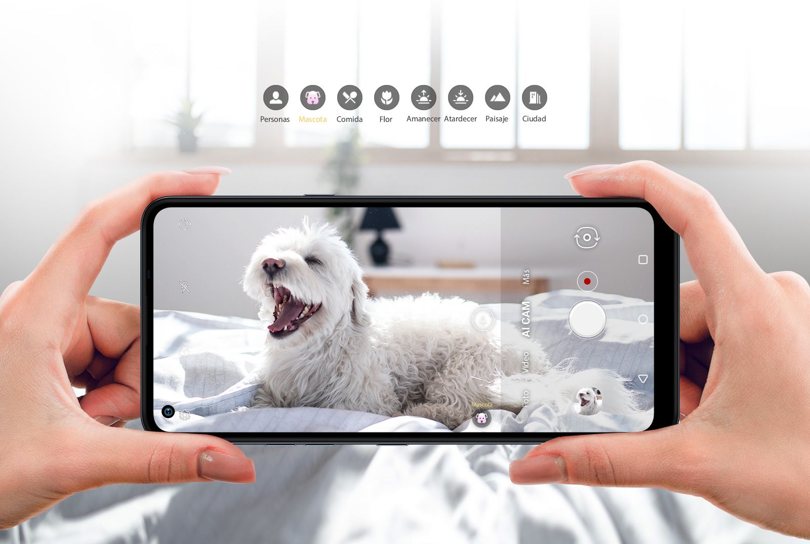 Serie LG K