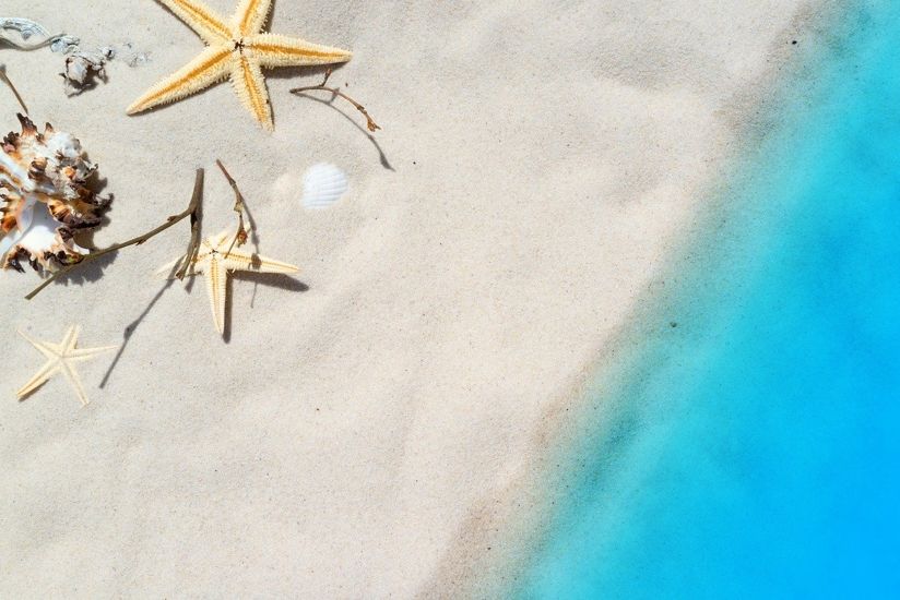 playa y estrella de mar