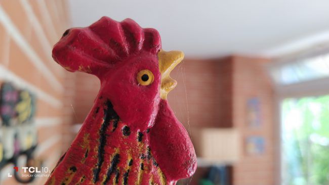 Foto macro con el TCL 10L