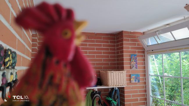 Foto a infinitivo con el TCL 10L