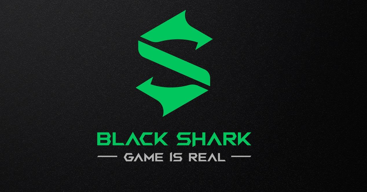 black shark logo