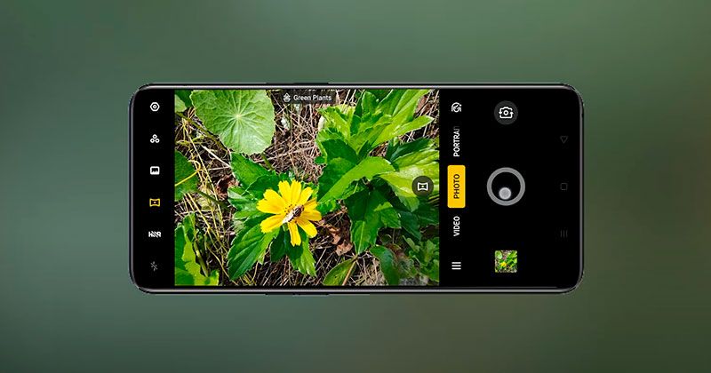macro oppo
