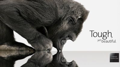 gorilla glass