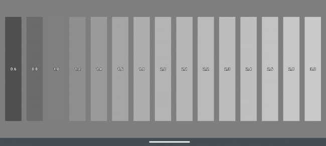 validad de los grises del Moto G9 Plus