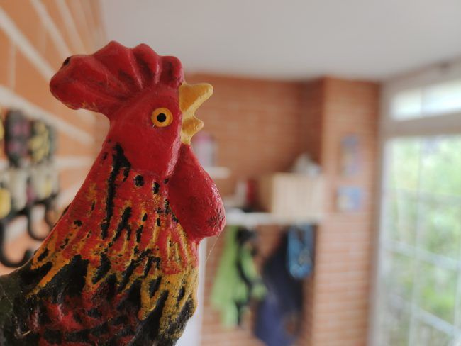 Foto macro Vivo X51 5G