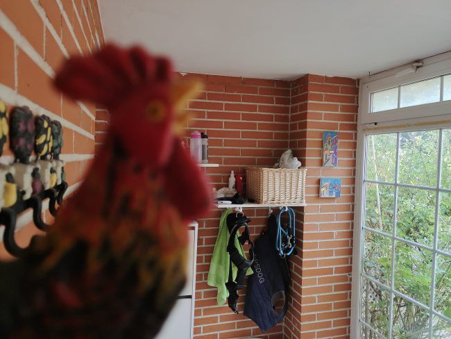 Foto a infinito Vivo X51 5G