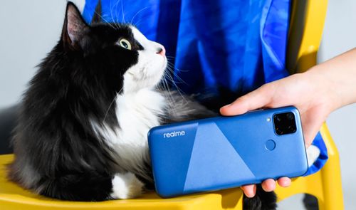 Realme C15