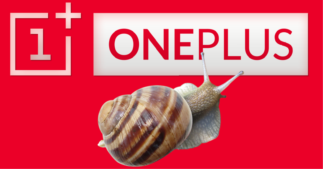 oneplus logo y caracol