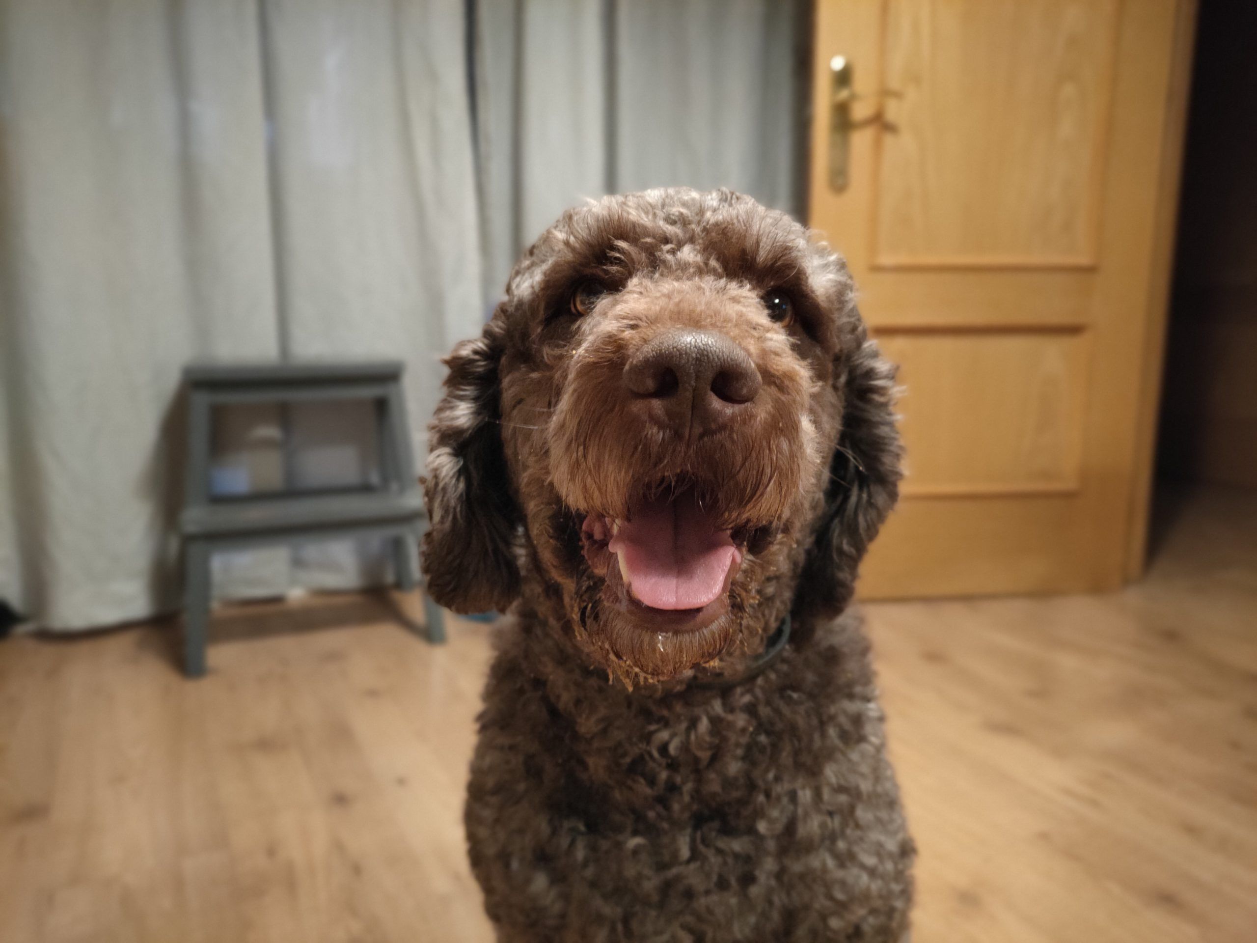 retrato con desenfoque con el realme 7 Pro