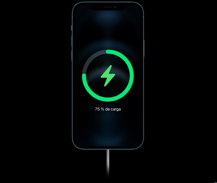 iphone 12 pro max carga