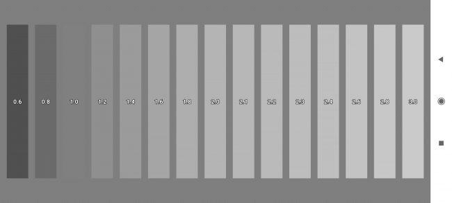calidad de los grises del Xiaomi Mi 11